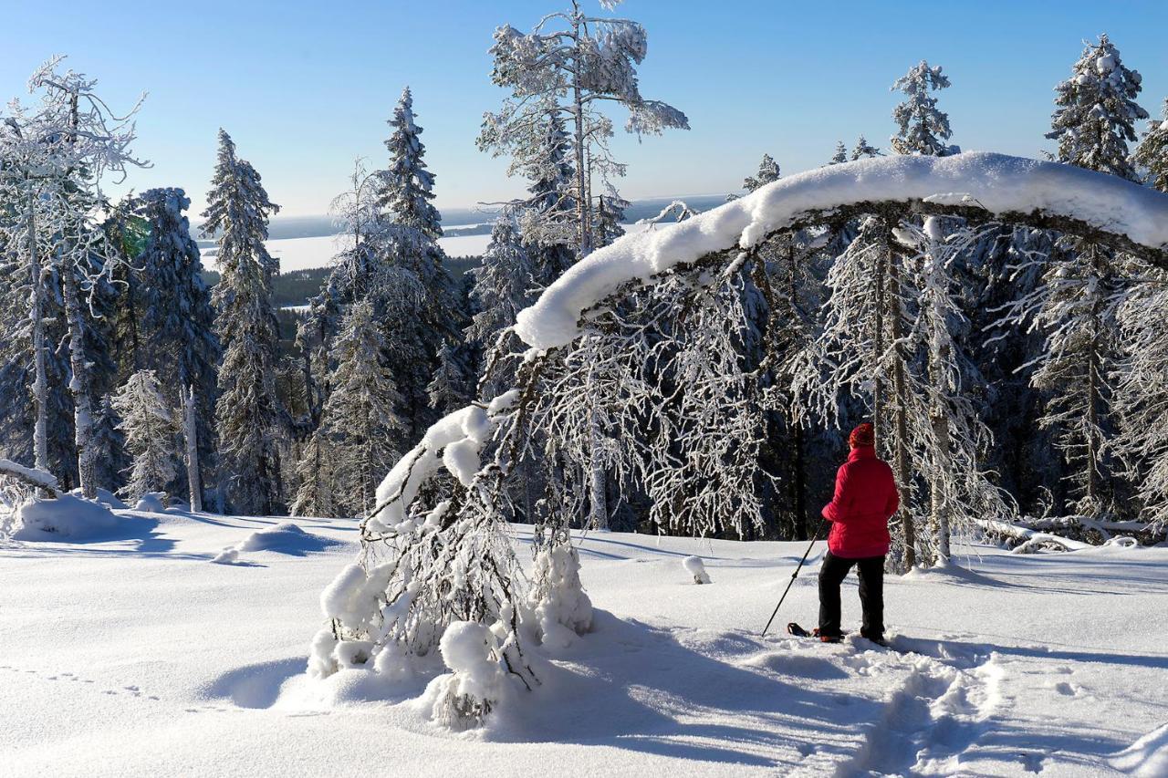 Arctic Giant Aparthotel Paltamo Kültér fotó